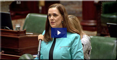 Senator Lisa Baker Floor Remarks