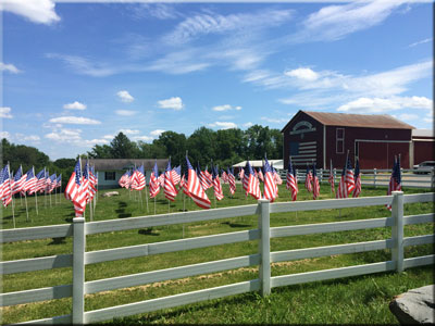 Lackawaxen Township Barn