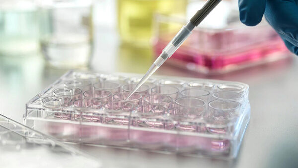 E-news Updates – February 2, 2026