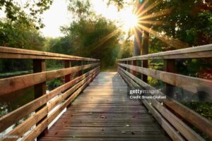 Rays of the sun through the foliage of trees. Pontoon in nature in summer or spring.